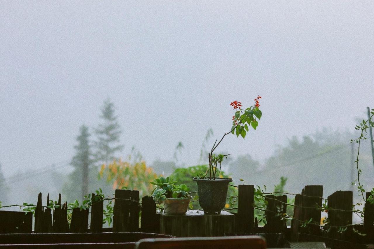 D Home Sapa 2 Buitenkant foto