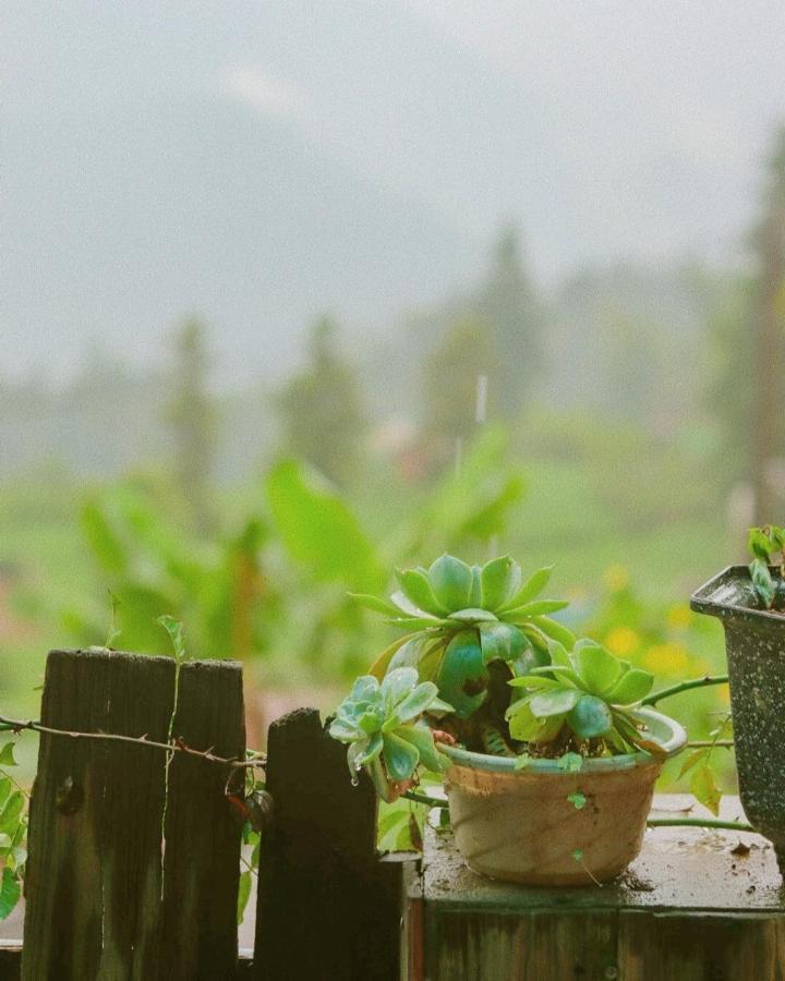 D Home Sapa 2 Buitenkant foto